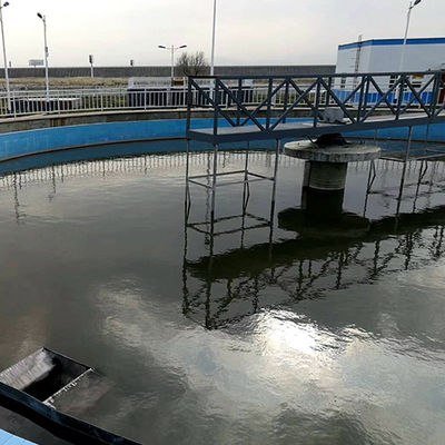 Réservoir de sédimentation périphérique de grattoir de boue d'entraînement de demi pont d'acier inoxydable