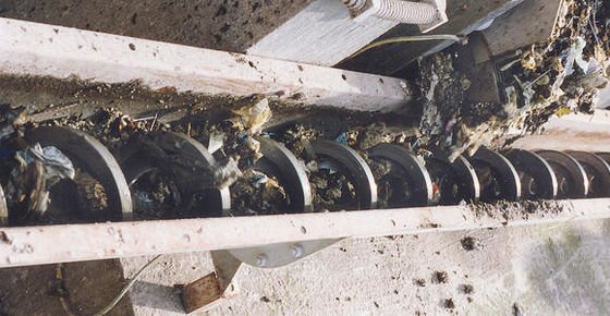 Único transporte de correia do parafuso do eixo para a estação de tratamento de água urbana